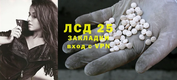 шишки Верея