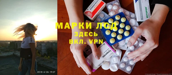 шишки Верея