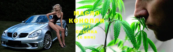 шишки Верея