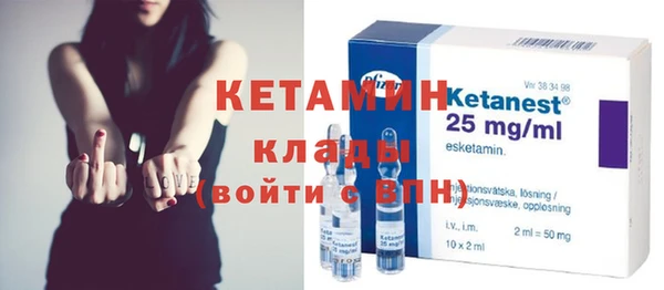 шишки Верея