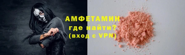 шишки Верея