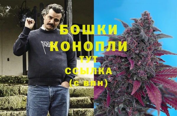 шишки Верея