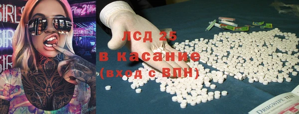шишки Верея