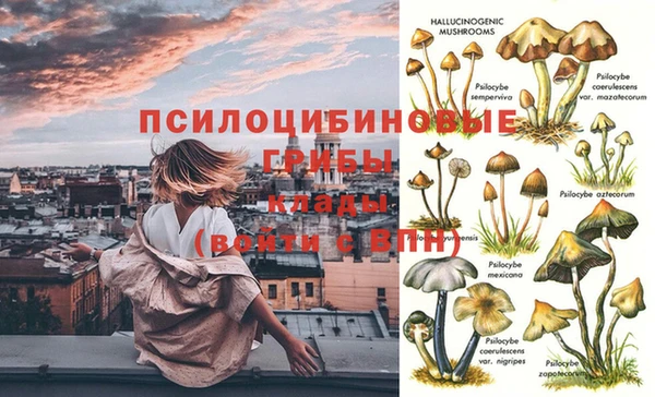 стаф Верхнеуральск