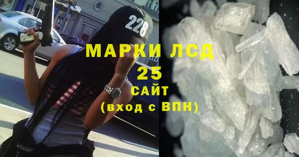 шишки Верея
