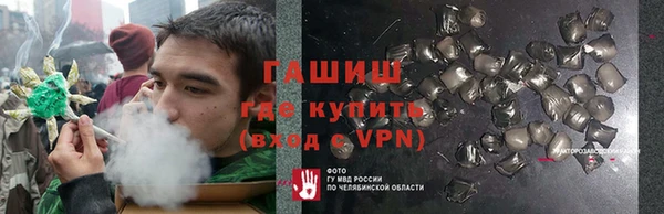 шишки Верея