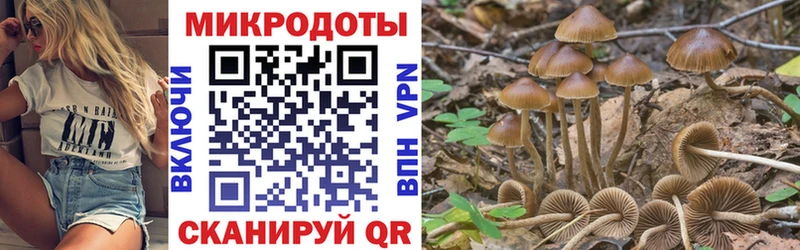 Галлюциногенные грибы Psilocybine cubensis  это официальный сайт  Курск 